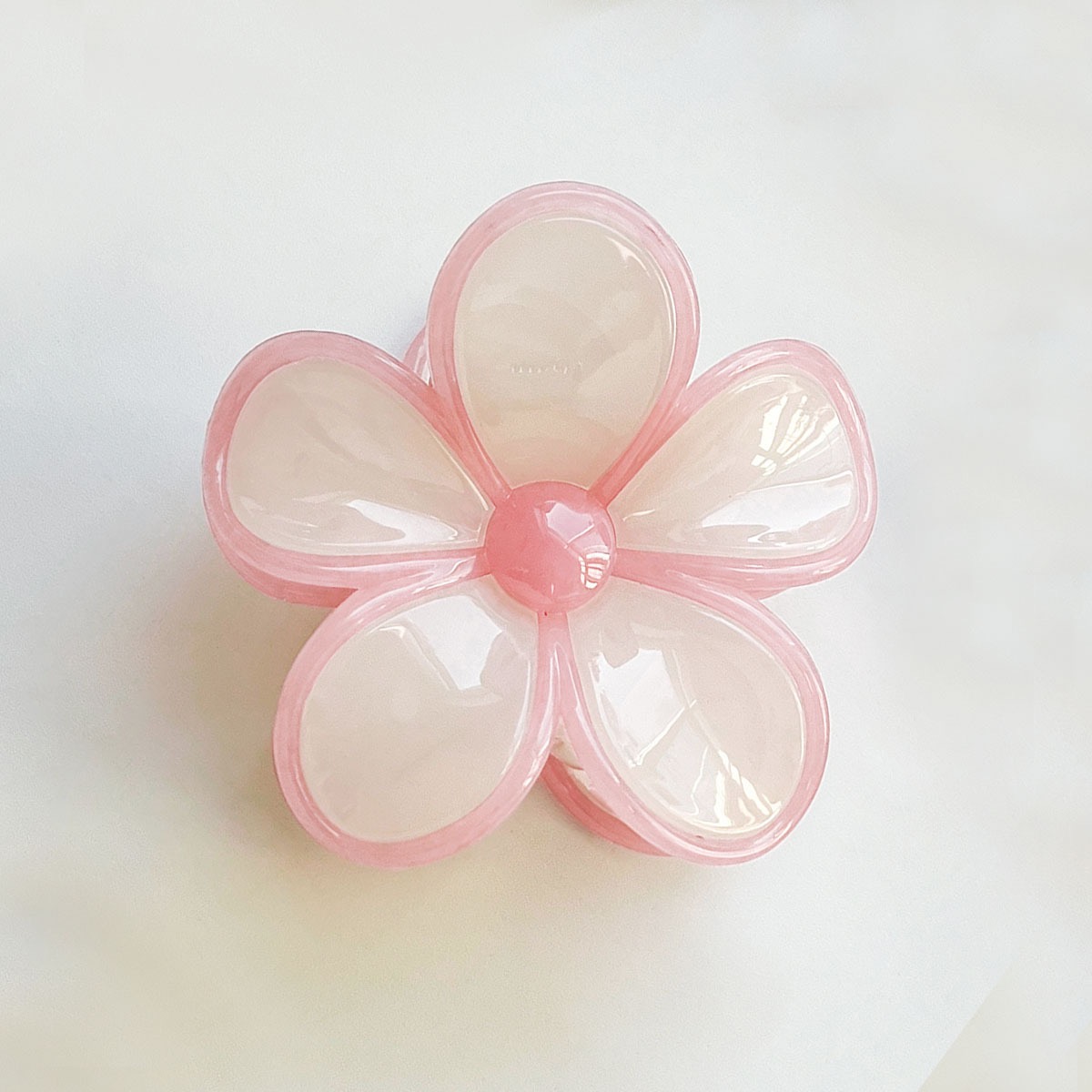 Pink edge with white petals